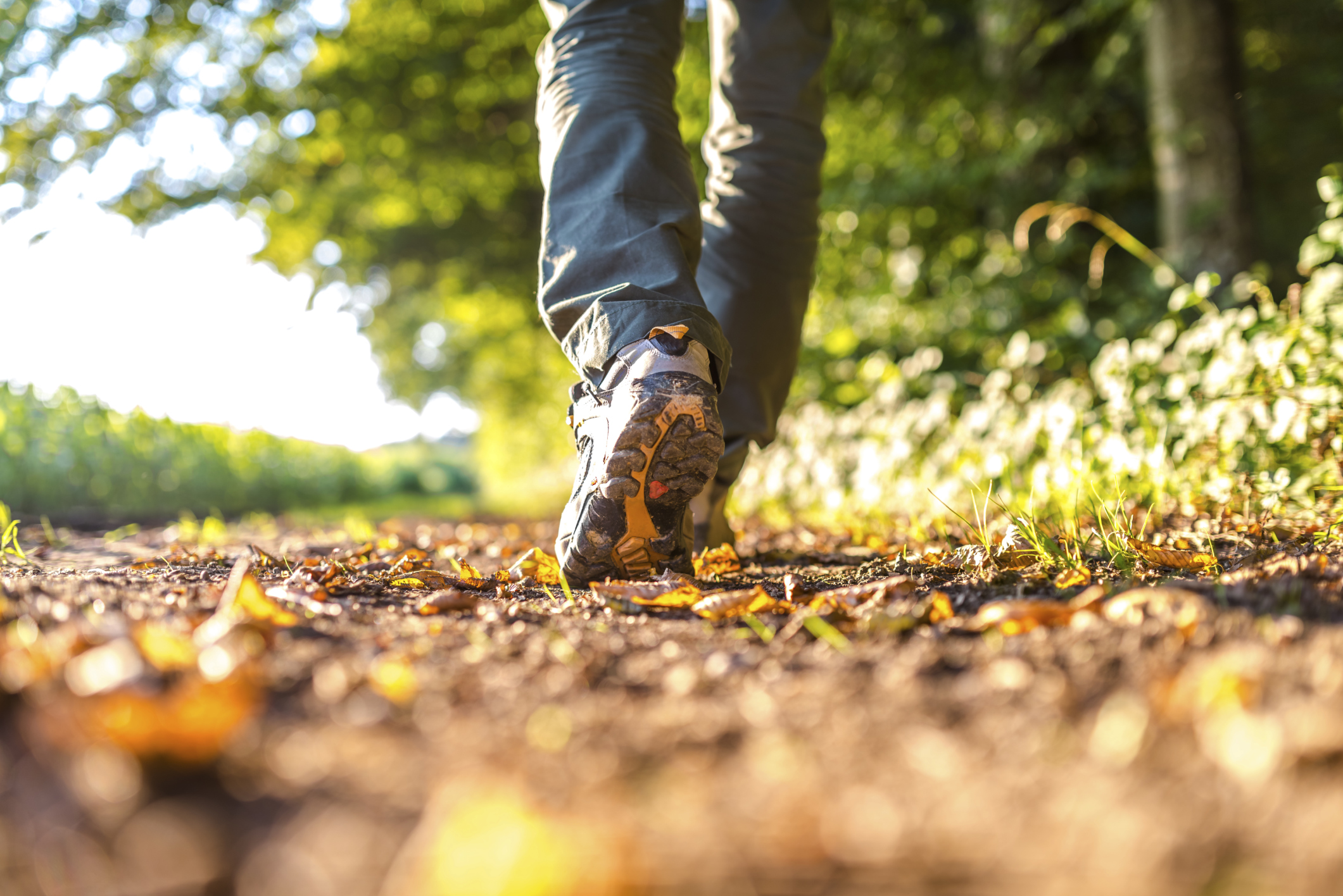 Savoring Walk Practice Greater Good In Action 